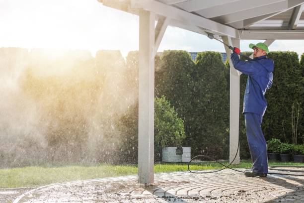 Best Gutter Cleaning  in Bement, IL